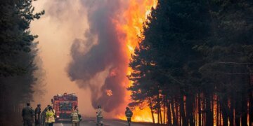“Огненный ад”: в России лесные пожары охватили почти 5 млн гектаров