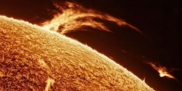 Астрофотограф показал вспышки на Солнце больше Земли в 25 раз – фото