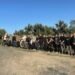 На Одещині затримали юрбу ухилянтів: користувалися спеціалізованим Телеграм-каналом