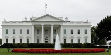 США опровергли слова Путина, что действия ВСУ в Курской области — это война Запада против РФ