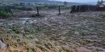 ЧП в российской Бурятии: сель смыл дома и уничтожил урожай