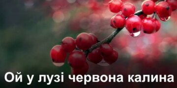 “15 суток ареста”:  оккупанты наказали севастопольца за песню «Червона калина»