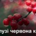 “15 суток ареста”:  оккупанты наказали севастопольца за песню «Червона калина»