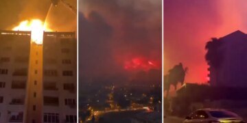 В турецком Измире лесной пожар перекинулся на жилые дома. ВИДЕО