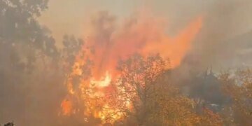 “Масштабный пожар”: российские военные во время учений подожгли лес возле полигона в Крыму. ВИДЕО