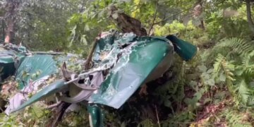 Авиакатастрофа самолета Ан-2 в России: в сети появилось ВИДЕО
