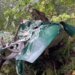 Авиакатастрофа самолета Ан-2 в России: в сети появилось ВИДЕО