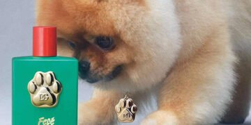 Dolce & Gabbana випустили парфуми для собак. ВІДЕО
