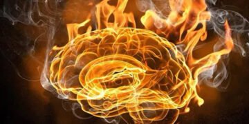 Вчені розповіли про рівень інтелекту, який ставить під загрозу наш мозок