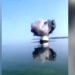 Одна з ракет РФ потонула у Київському водосховищі. ВІДЕО