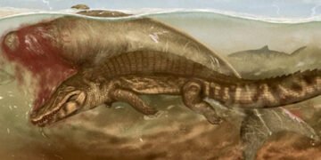 Доісторичний горор: стародавню морську корову вбив крокодил, а потім на частини розірвала акула