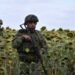 Сет Джонс: Россияне не научились воевать более эффективно