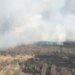 В Чернобыльской зоне горит 20 га лесной подстилки, привлечены спасатели