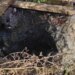 В РФ член избирательной комиссии упал в выгребную яму вместе с уличным туалетом