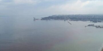 Черное море в районе  Одессы  стало красным, замечены дохлые крысы: что случилось