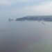Черное море в районе  Одессы  стало красным, замечены дохлые крысы: что случилось