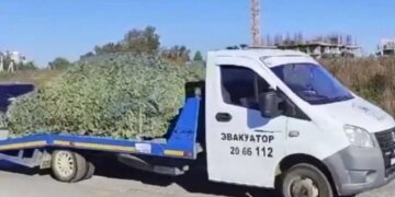 В центре России взорвали организаторов пыточных в Украине: подробности от ГУР