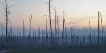 “Везде трупаки, братаны, вот это бой был”, – оккупант зашел на свою “размотанную” позицию. ВИДЕО