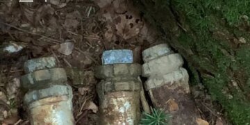 Винтовки, патроны, гранаты: у границы с Польшей обнаружен тайник ржавого оружия. ФОТО