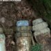 Винтовки, патроны, гранаты: у границы с Польшей обнаружен тайник ржавого оружия. ФОТО