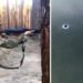 “Ми просто пи*ди отримаємо”: окупанти перевірили якість своїх бронежилетів і сильно засмутилися. ВІДЕО