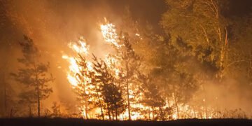 “Вогонь поширився вглиб лісу”: на Донеччині після обстрілу вирує масштабна пожежа. ВІДЕО