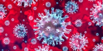 У Європі поширюється новий штам коронавірусу XEC: чим відрізняється від попередніх і наскільки небезпечний
