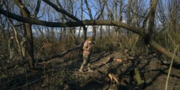 Российские военные заявляют о захвате села Мемрик в Донецкой области