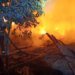 Російський БПЛА вдарив по житловому сектору Харківщини: що відомо? ФОТО