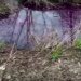 В Челябинской области РФ снова коммунальный казус: подвалы затопило «тухлым борщом». ВИДЕО