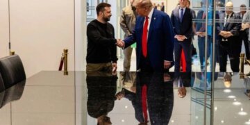 Как сделать Трампа союзником Украины: в Киеве придумали ход, который понравится даже Маску