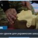 В украинских школах вводят предмет «Защита Украины»