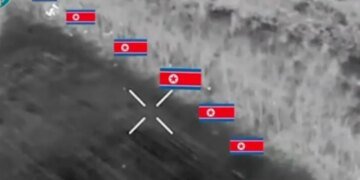 Бойцы ССО показали зачистку северокорейцев в посадке на Курщине. ВИДЕО
