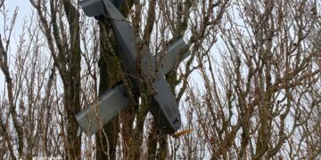 У Київській області дрон застряг на дереві. ФОТО