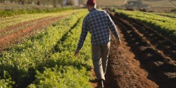 Россияне планируют большую распродажу земельных участков уехавших из оккупации украинцев