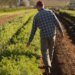 Россияне планируют большую распродажу земельных участков уехавших из оккупации украинцев