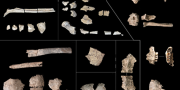 Життя і смерть у прадавній Україні: археологи з’ясували дивовижні подробиці про трипільську культуру