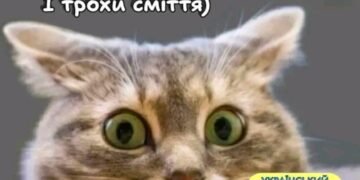 Підбірка блогожаб та фотоприколів від UAINFO за 12 грудня