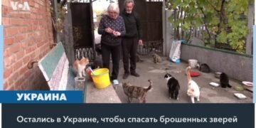 Пенсионеры из украинского Орехова спасают домашних животных