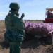 Окупанти погрожують забрати техніку в українських фермерів: у ЦНС назвали причину