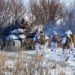 “На руках усі карти”: Україна наступає у Курській області, Трамп може скористатися вразливістю Росії, — The Hill