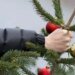 Почему нельзя выбрасывать елку из дома слишком рано