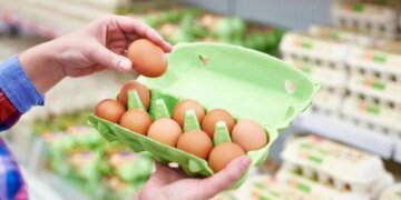 В Украине резко изменились цены на яйца: сколько стоит десяток и почему это не надолго