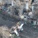 “Это что-то с чем-то”: оккупанты против ВСУ ставят странные баррикады. ФОТО