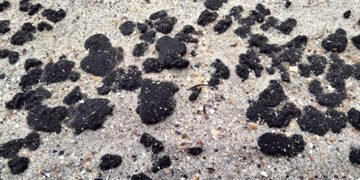 «Страшна мазутна біда»: нафтопродукти після аварії російських танкерів досягли Одеської області, – біолог. ВІДЕО