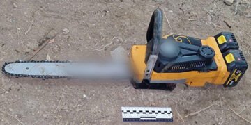 Розчленували та намагалися спалити: на Закарпатті сталось жахливе вбивство. ФОТО