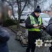 Належали знаті варварських королівств: у Києві незаконно намагались продати унікальні артефакти IV-V століття. ФОТО