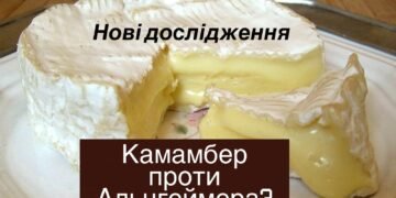 Шматочок камамберу для омолодження мозку, – Оксана Скиталінська 