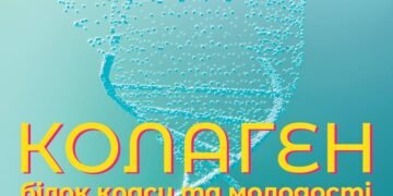 Чим насправді корисний колаген, де він міститься, та які має побічні ефекти 