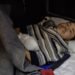 Зеленский опубликовал новое видео с пленным северокорейским военным